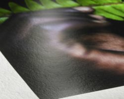 Hahnemühle Photo Rag Pearl 320