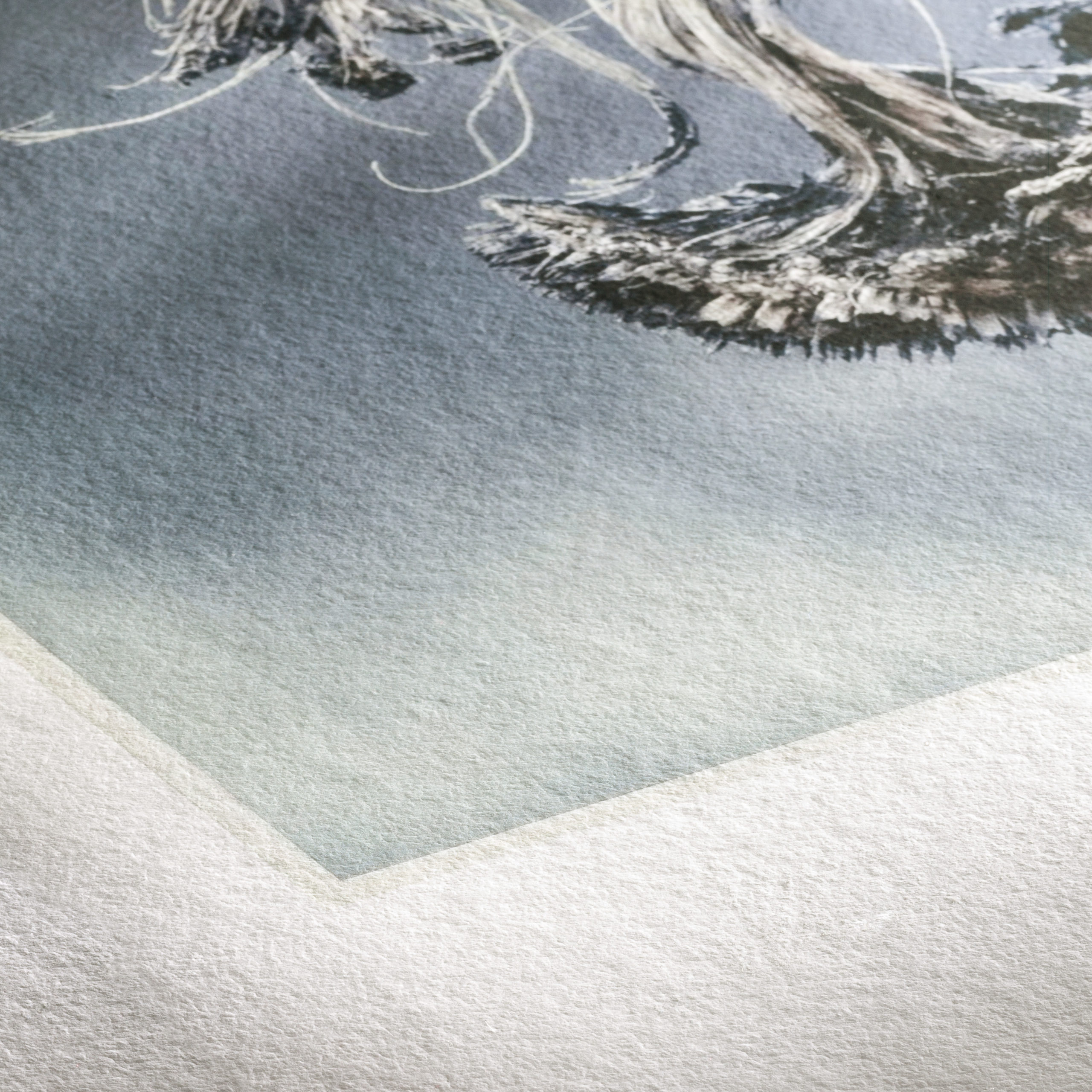 Hahnemühle Museum Etching 350 Photo Cards