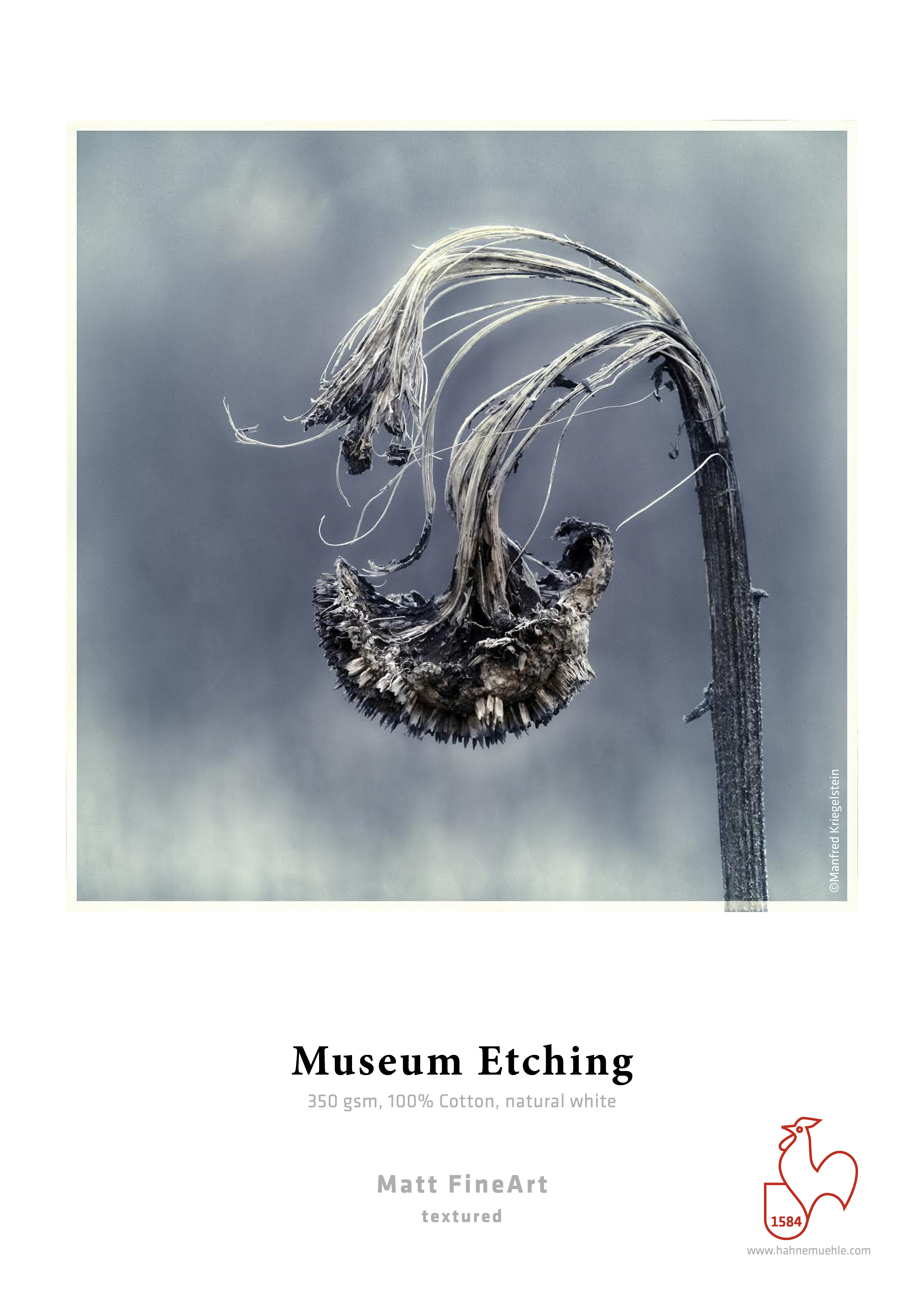 Hahnemühle Museum Etching 350 Photo Cards – Bild 2