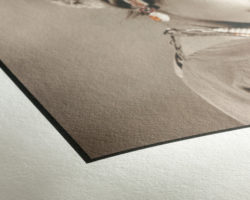 Hahnemühle Photo Rag 308
