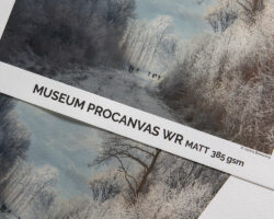 Canson Museum Pro Canvas WR Matt 385g
